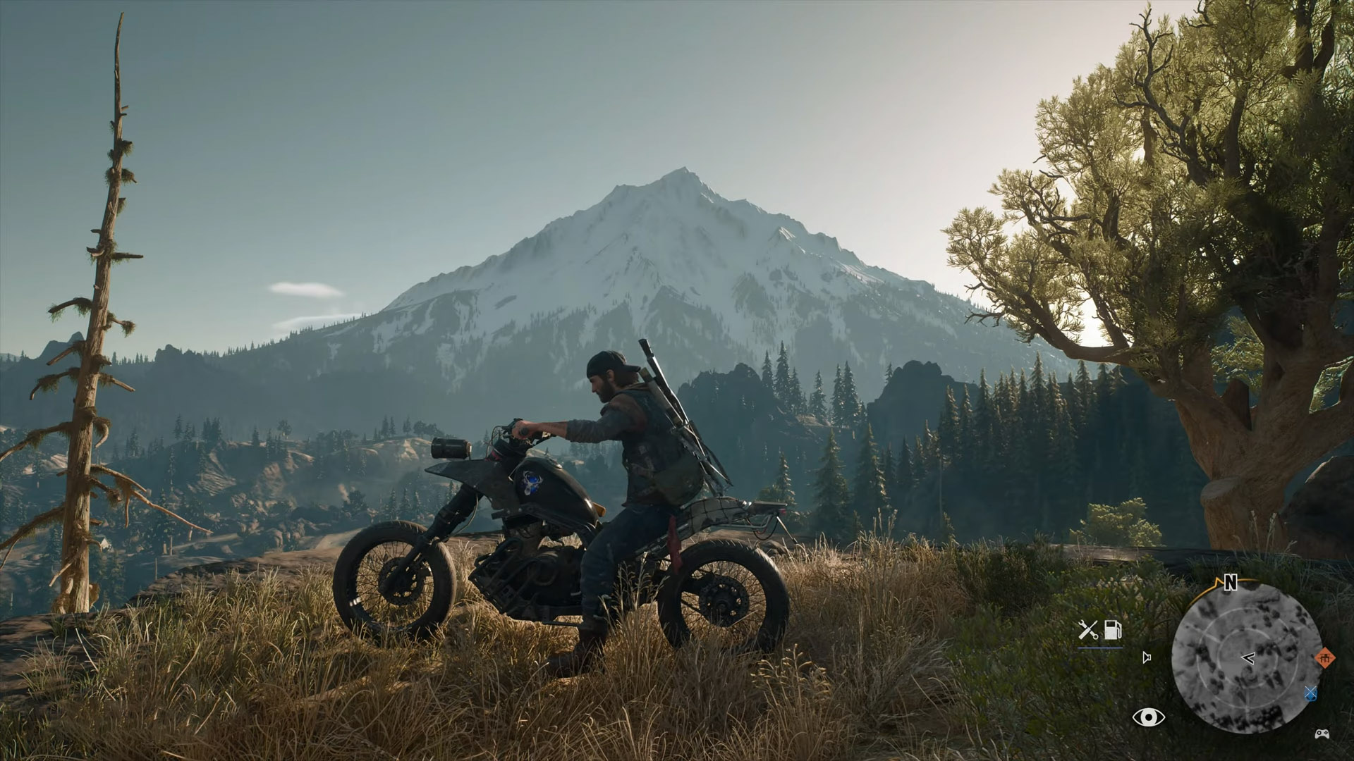 Days Gone ULTRA