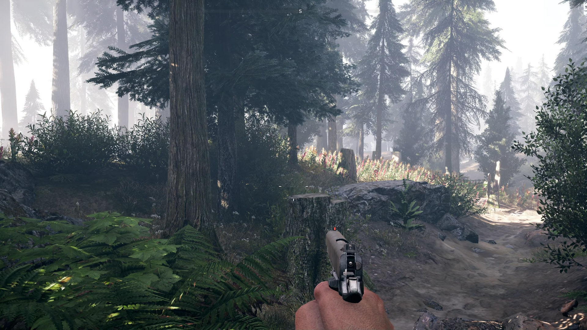 Far Cry® 5 LOW