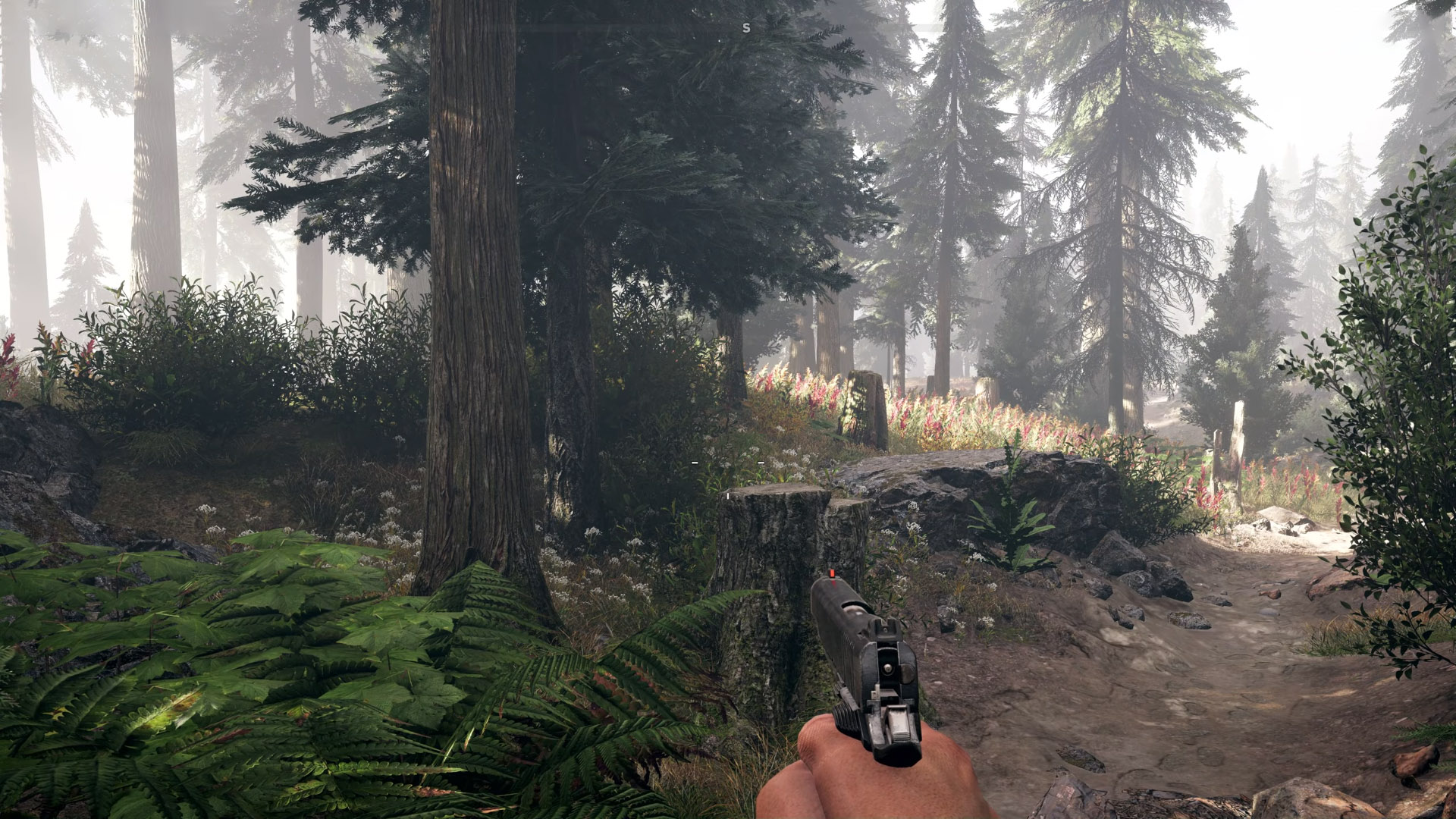 Far Cry® 5 ULTRA