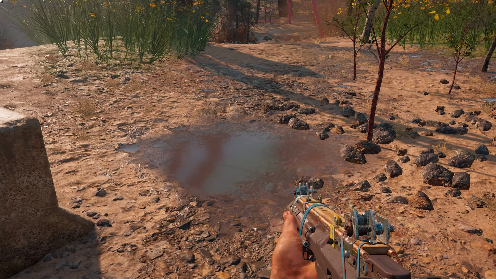 Far Cry® New Dawn LOW