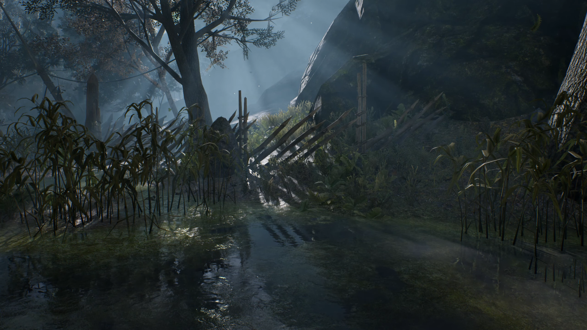 Hellblade: Senua's Sacrifice RTX ON