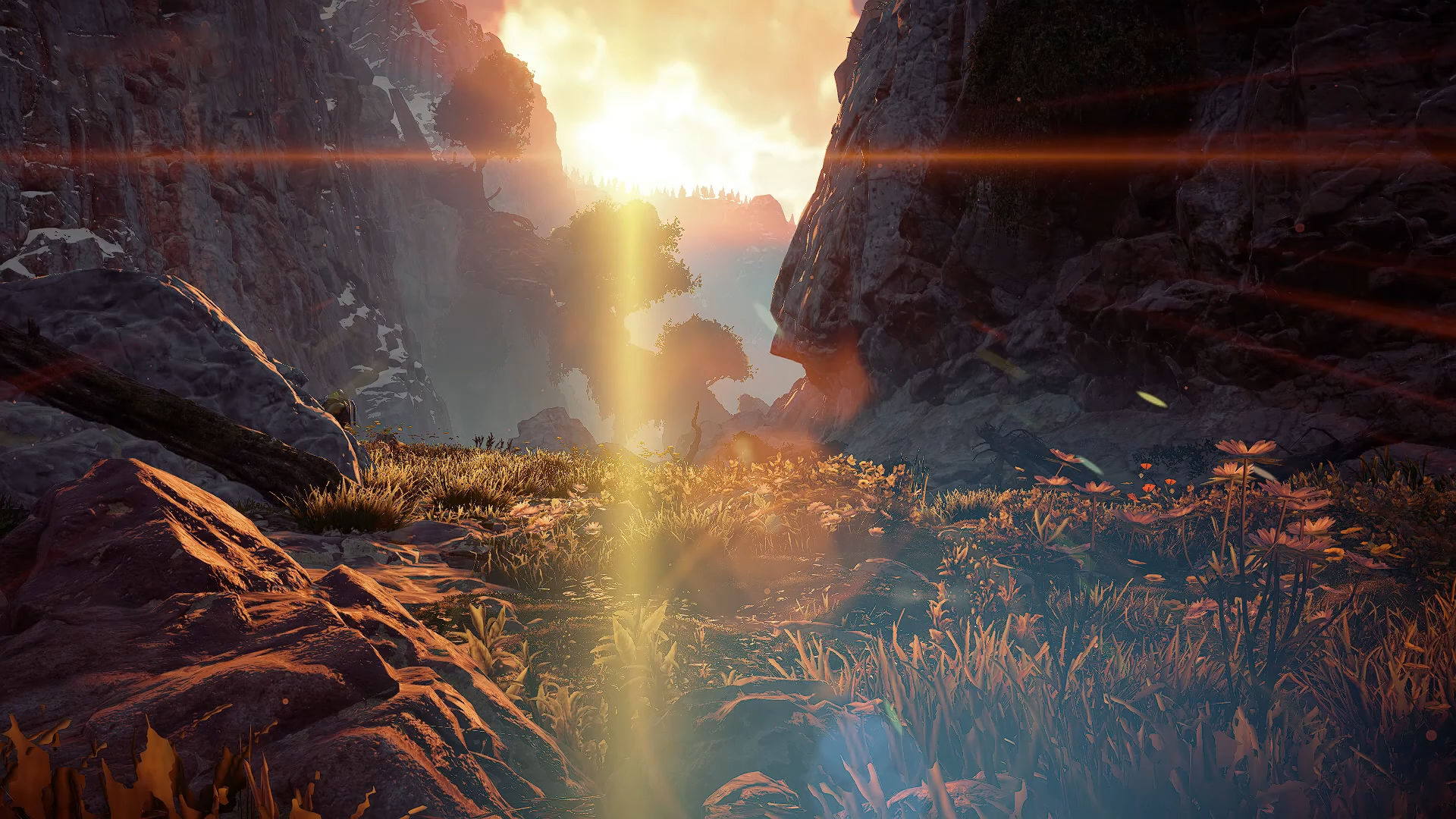 Horizon Zero Dawn™ LOW