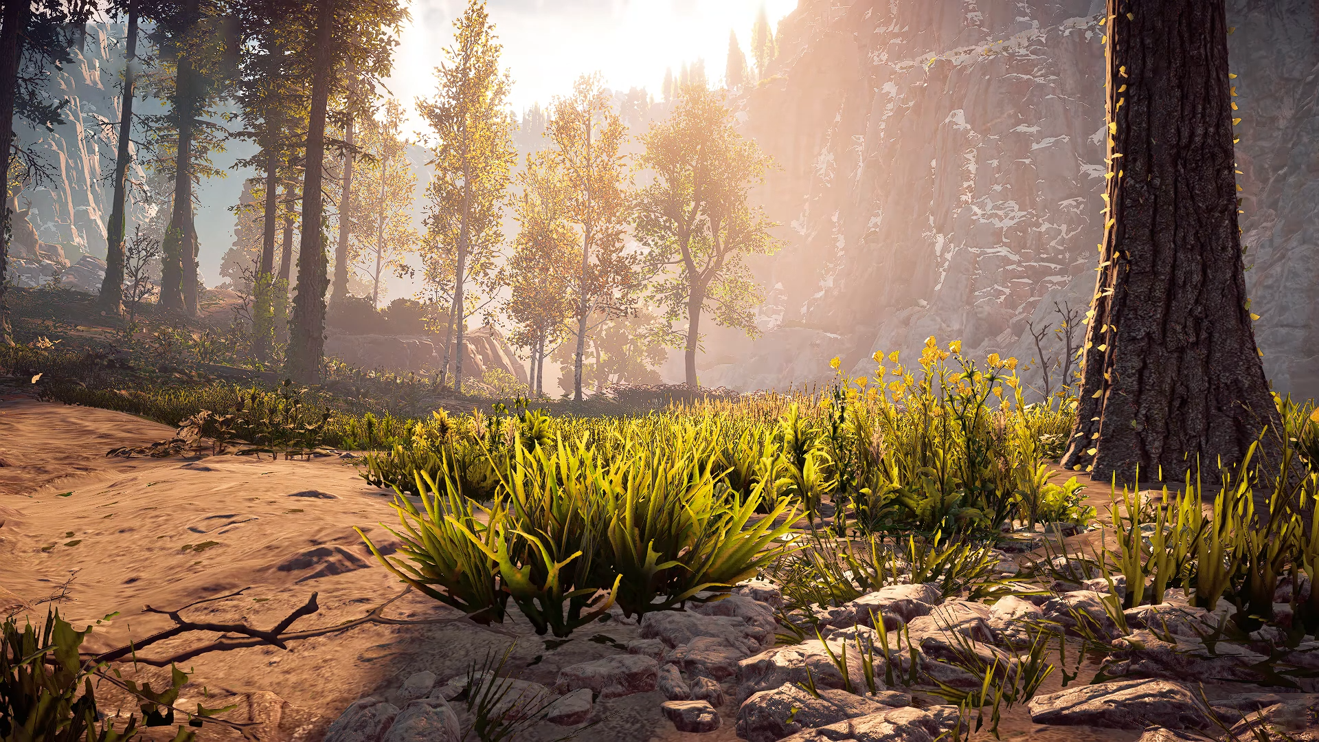 Horizon Zero Dawn™ LOW