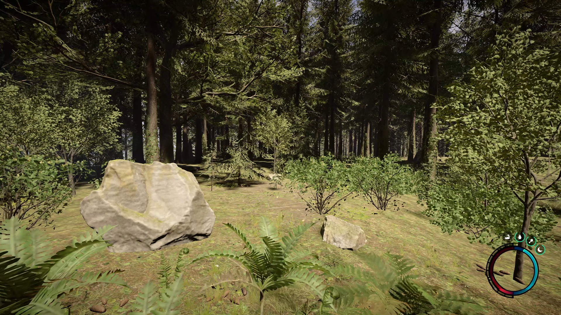 Sons Of The Forest LOW