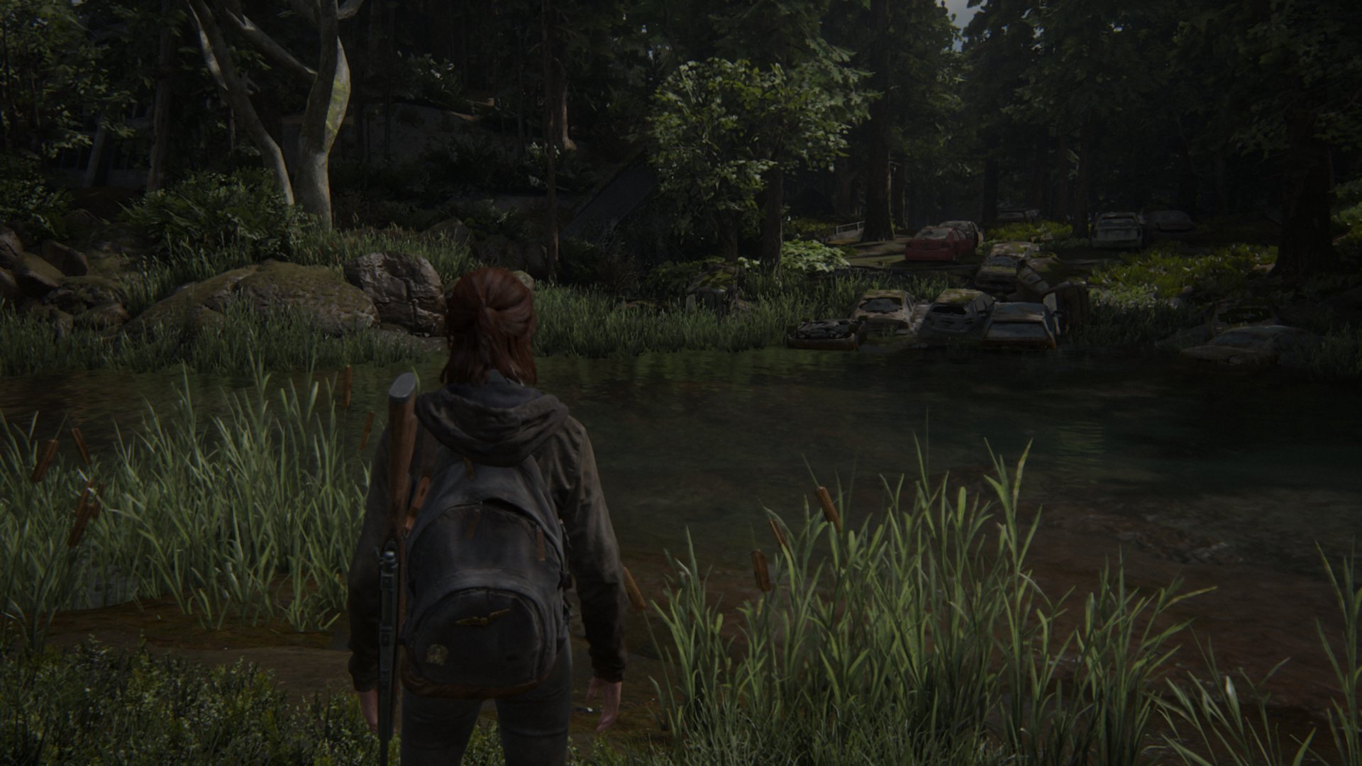 The Last of Us Part II Remastered LOW