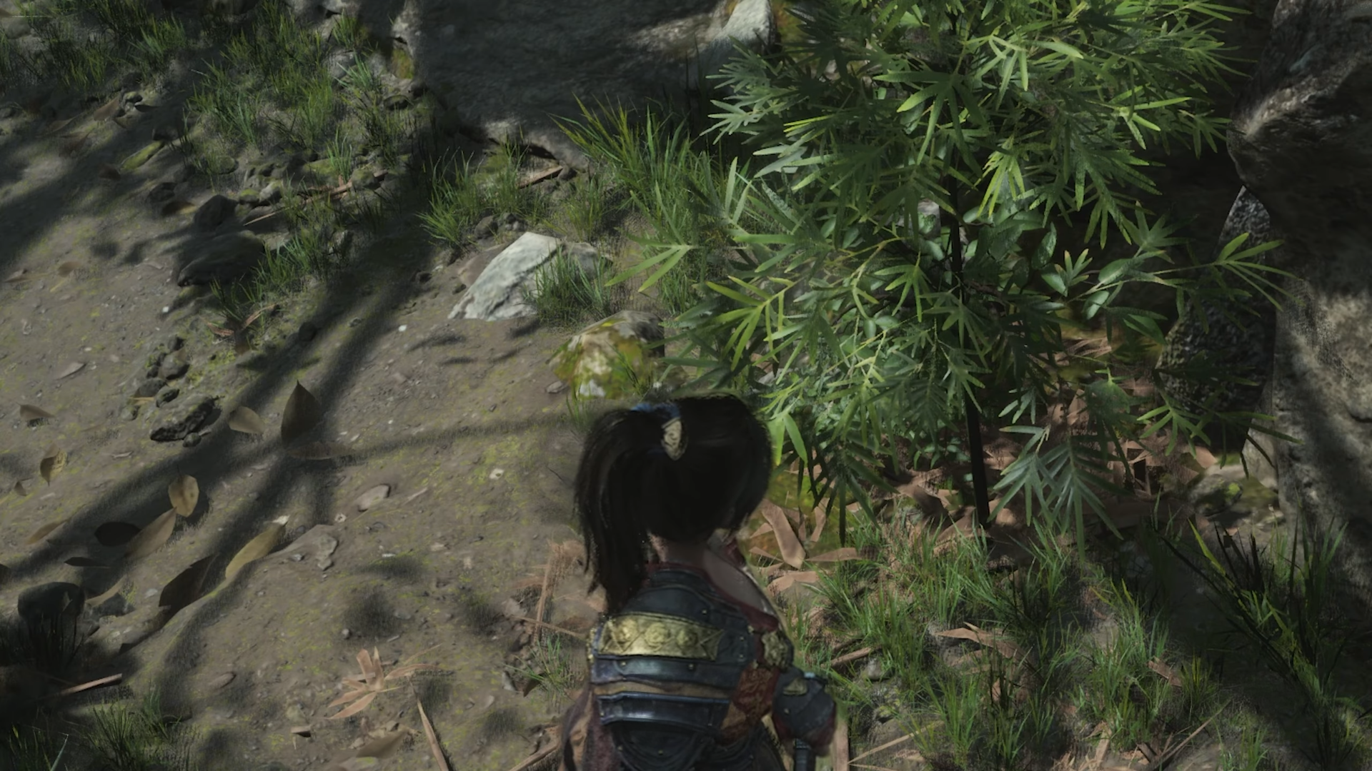 WUCHANG Fallen Feathers LOW