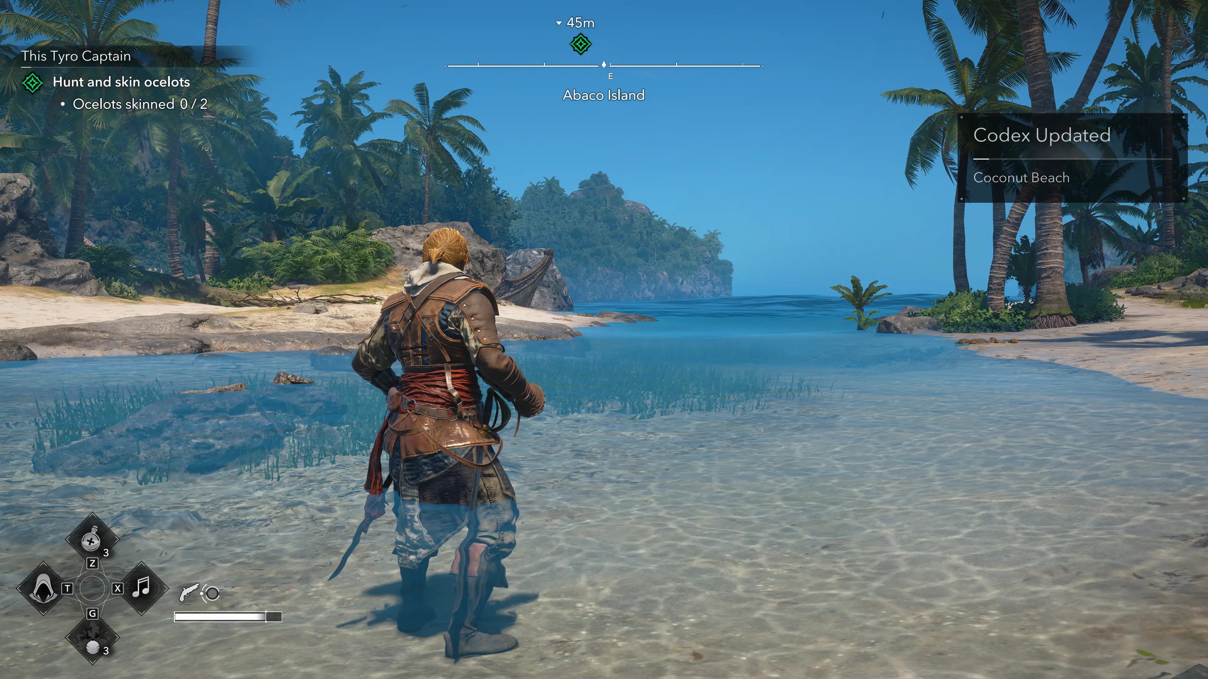 Assassin's Creed Black Flag Resynced LOW